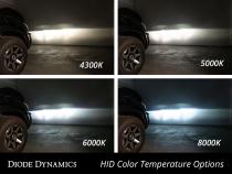 HID Bulb D2R 6000K Pair Diode Dynamics